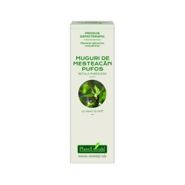 Extract concentrat din muguri de mesteacan pufos, 15ml, PlantExtrakt