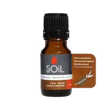 Ulei Esential de Arbore de Ceai (Melaleuca alternifolia) 100% Organic, 10ml, Soil