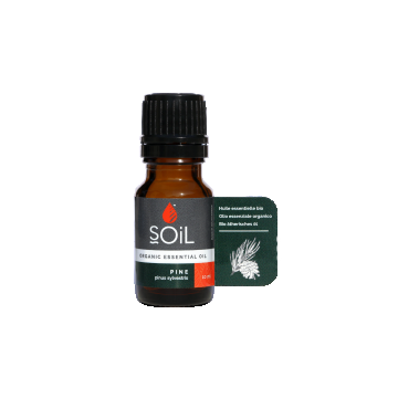 Ulei Esential Pin (Pinus sylvestris) 100% Organic Ecocert, 10ml, Soil