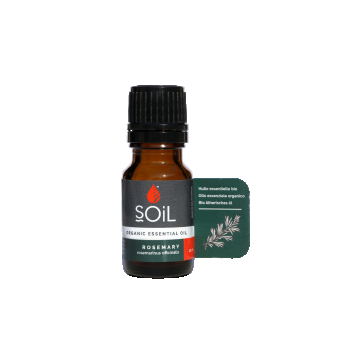 Ulei esential Rosemary- Rozmarin 100% Organic, 10ml, Soil