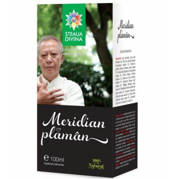 Meridian plaman 100ml - SANTO RAPHAEL