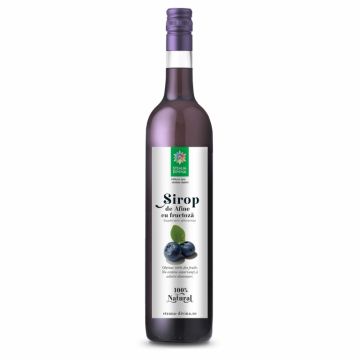 Sirop afine cu fructoza 500ml - SANTO RAPHAEL