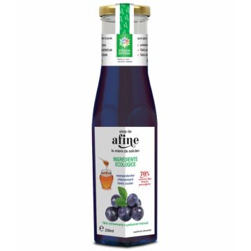 Sirop afine in miere 230ml - SANTO RAPHAEL