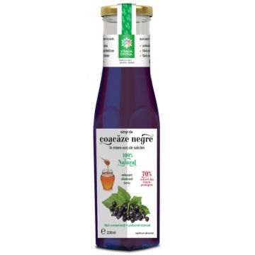 Sirop coacaze negre in miere 230ml - SANTO RAPHAEL