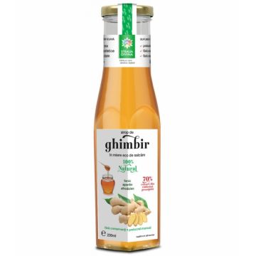 Sirop ghimbir in miere 230ml - SANTO RAPHAEL