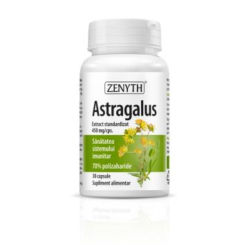 Astragalus, 30 capsule, Zenyth