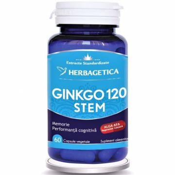 Ginkgo120+ stem 60cps - HERBAGETICA
