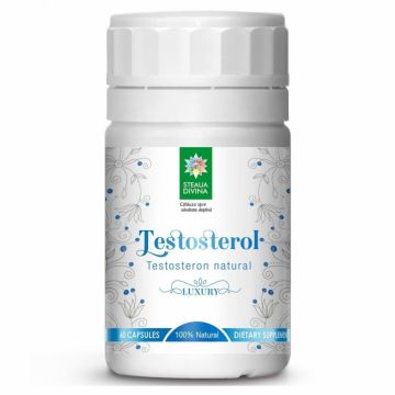 Testosterol 90cps - SANTO RAPHAEL