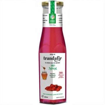 Sirop trandafir in miere 230ml - SANTO RAPHAEL