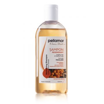 Sampon regenerant cu extract de catina Beauty Hair, 250ml, Pell Amar