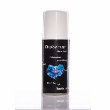 Deodorant roll on menta lamaie barbati 50ml - NERA PLANT