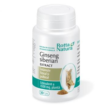 Ginseng siberian 30cps - ROTTA NATURA