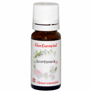 Ulei esential scortisoara 10ml - AQUA NANO