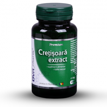 Cretisoara extract 60cps - DVR PHARM