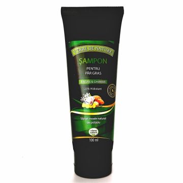 Sampon par gras argan ghimbir complex vegetal 100ml - MANICOS