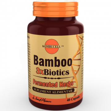 Bamboo 3xbiotics 40cps - KOMBUCELL