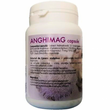 AnghiMag 250mg 50cps - FARMACOM