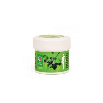 Crema muguri de plop, 40 g, Steaua Divina