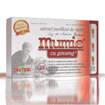 Extract purificat de rasina Mumie cu Ginseng, 30 capsule, Damar General Trading