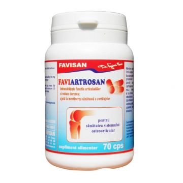Faviartrosan, 70 capsule, Favisan