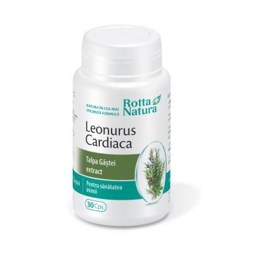 Leonurus Cardiaca - Extract Talpa Gâștei, 30 capsule, Rotta Natura