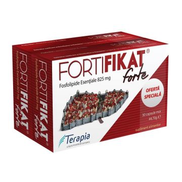 Pachet Fortifikat Forte 825 mg, 30 + 30 capsule, Terapia