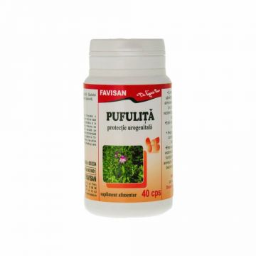 Pufulita, 40 capsule, Favisan