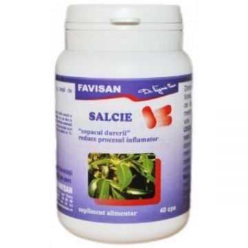 Salcie, 40 capsule, Favisan